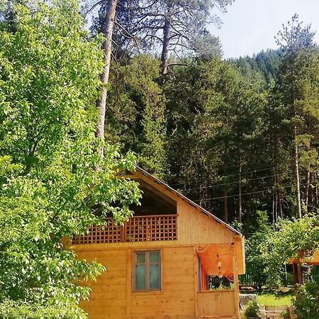Guest House Ilia Borjomi Ngoại thất bức ảnh