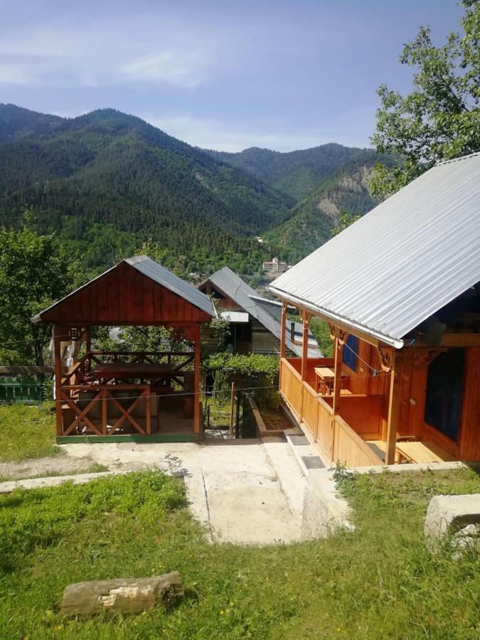 Guest House Ilia Borjomi Ngoại thất bức ảnh