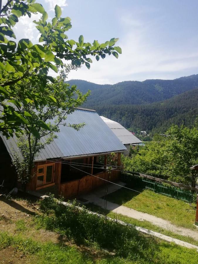 Guest House Ilia Borjomi Ngoại thất bức ảnh