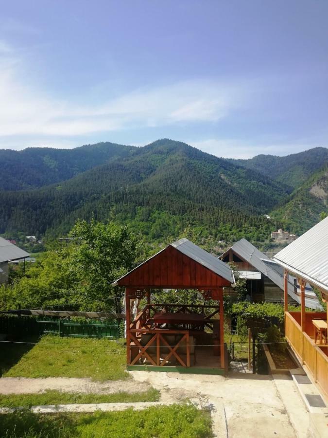 Guest House Ilia Borjomi Ngoại thất bức ảnh