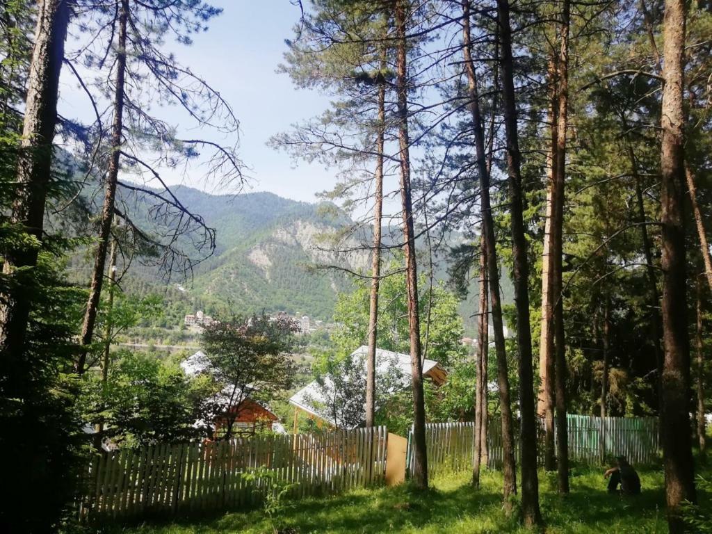 Guest House Ilia Borjomi Ngoại thất bức ảnh