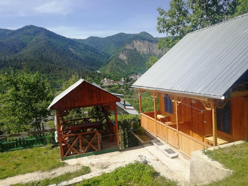 Guest House Ilia Borjomi Ngoại thất bức ảnh